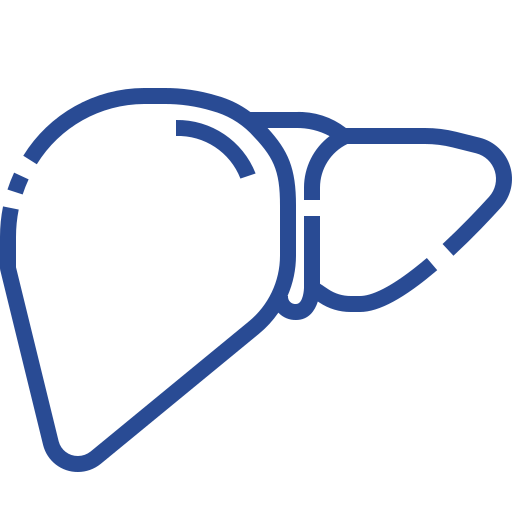 external-liver-human-organs-justicon-lineal-justicon