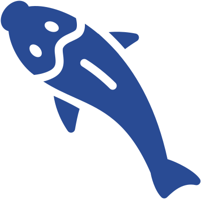 top-view-fish