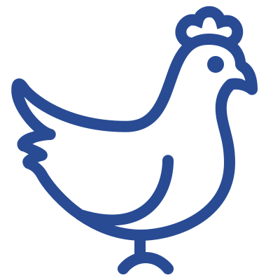 chicken