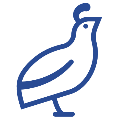 quail