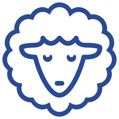 sheep2