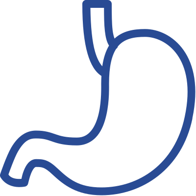 stomach
