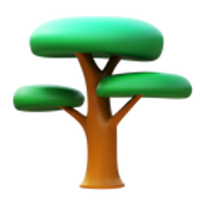 acacia icon