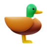 duck