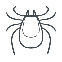 mite