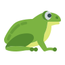 frog