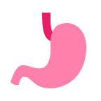 stomach