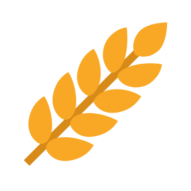 wheat