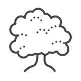 deciduous-tree