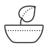 vegan-food