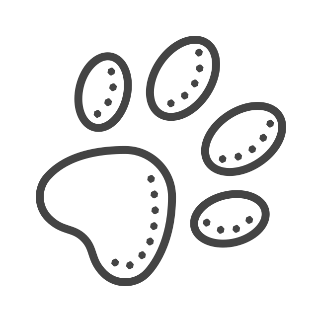 pet-commands-summon