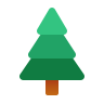coniferous-tree