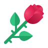 rose