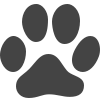 cat-footprint