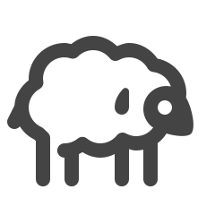 sheep