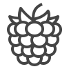raspberry