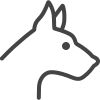 year-of-dog