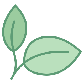 natural-food