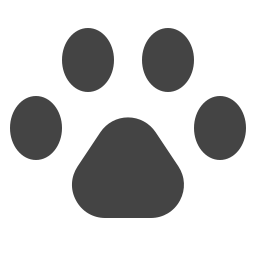 dog-footprint
