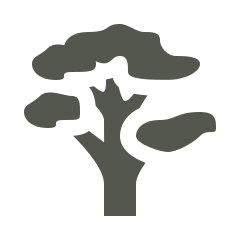 large-tree