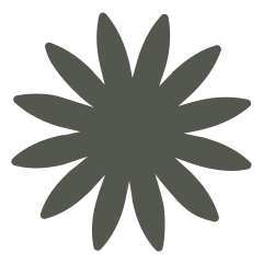 lupine
