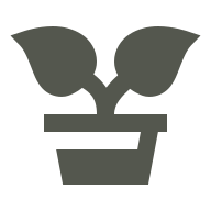 potted-plant