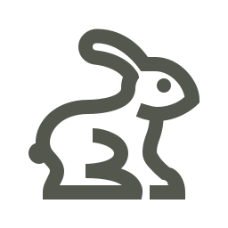 rabbit