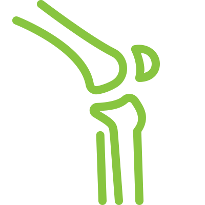knee-joint