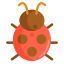 瓢虫 icon