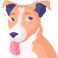 jack russell terrier icon