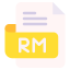 Rm icon