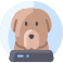 犬 icon