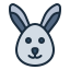 rabbit icon