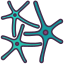 Nervous System icon