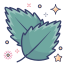 Birch Leaf icon