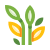 Растение под солнцем icon