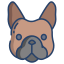 french bulldog icon