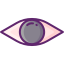 Eye icon