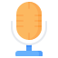 microphone icon