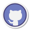 GitHub icon