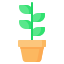 阳光下的植物 icon