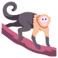 animal icon