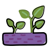 pianta in crescita icon