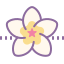 Spa Flower icon