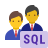 Type de peau 7 du groupe d&#39;administrateurs de base de données SQL icon