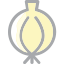 Cipolla icon