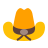 color style country music icon