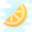 cute clipart style 감귤 1 icon