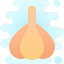 cute clipart style garlic icon
