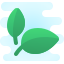 cute clipart style natural food icon